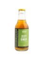 Abha's Probiotics Zesty Ginger
