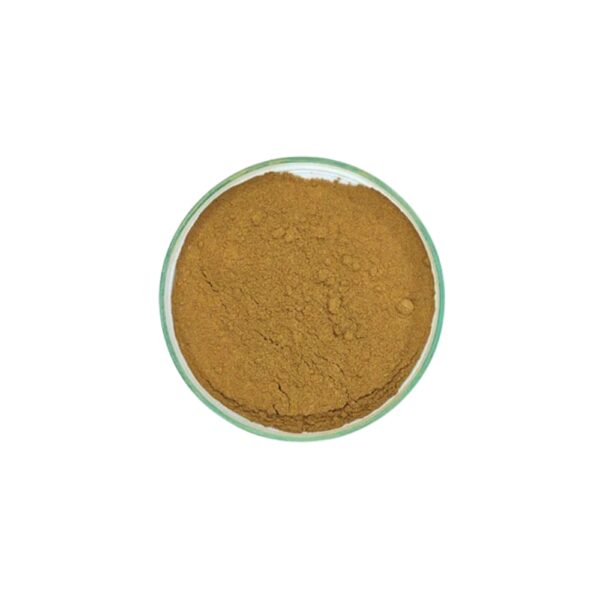 Auroville Organic Amla Powder  | 500 g