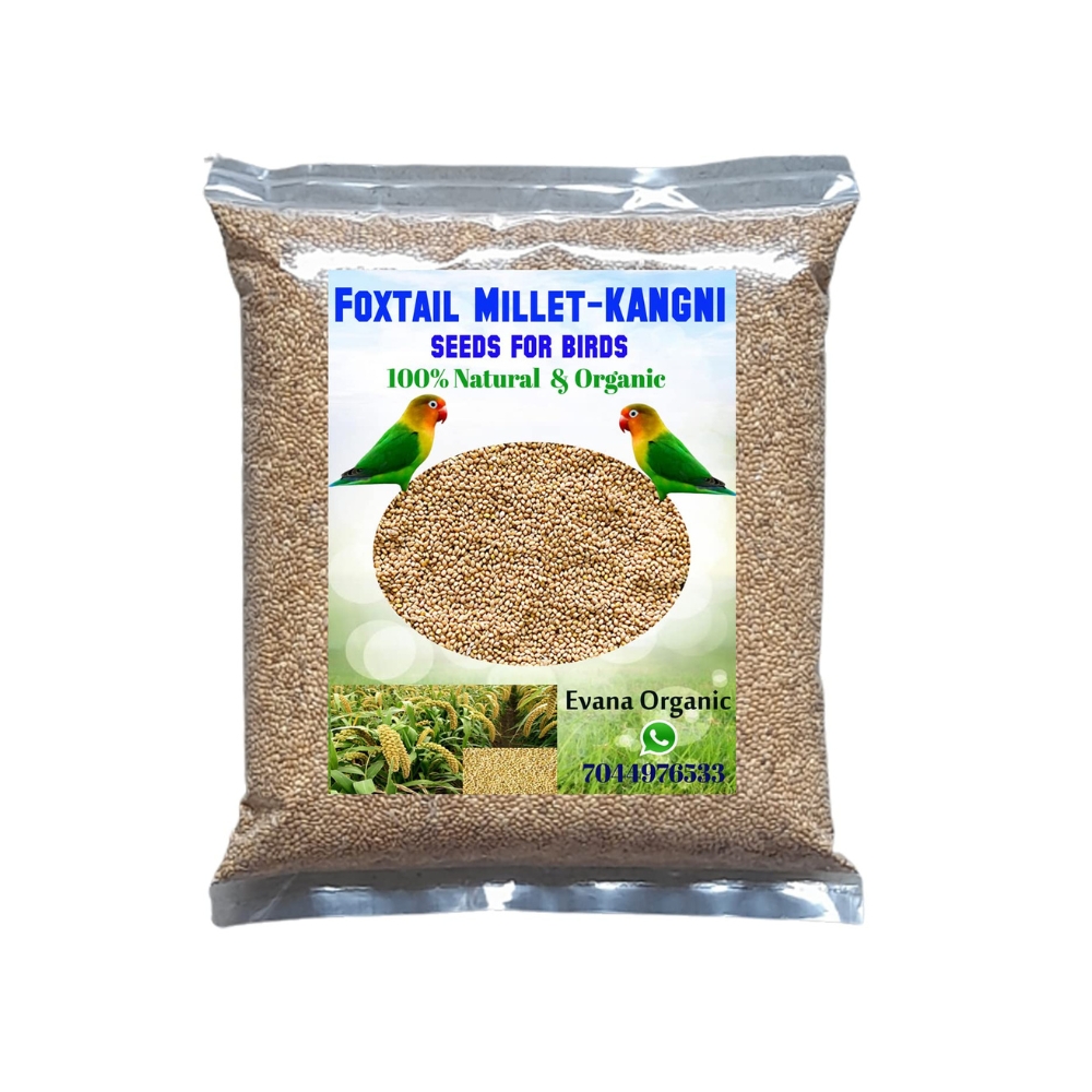 Evana Organic Premium Foxtail Millet || Kangni Seeds || 100% Natural Bird Food | 400 g