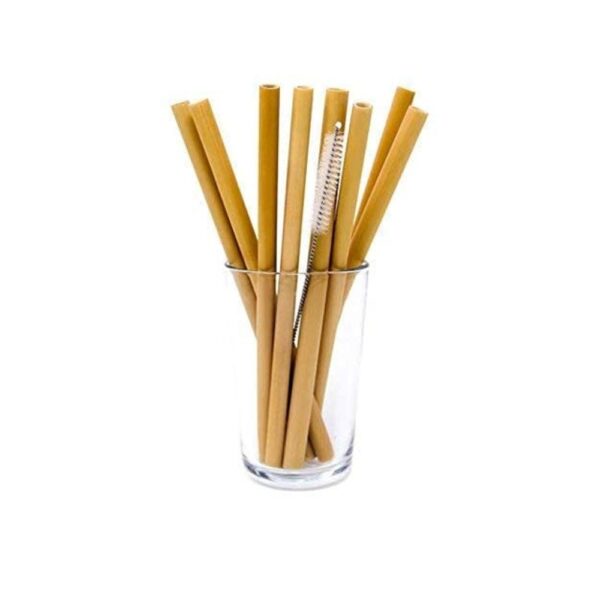 Swastha Hygiene Organic Bamboo Straws with Cleaning Brush, Pack of 10 | 50 g