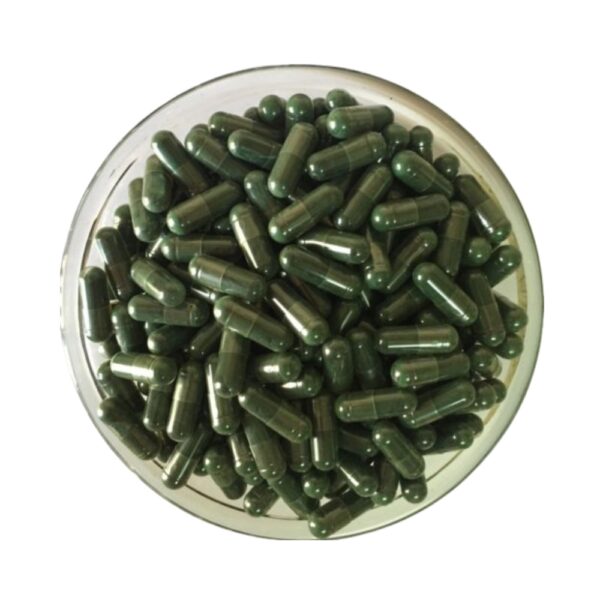 Auroville Organic Spirulina Capsules | 500 mg