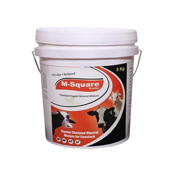 Aurous Glycine Chelated  Organic Mineral Mixture for Cow  | 5 kg