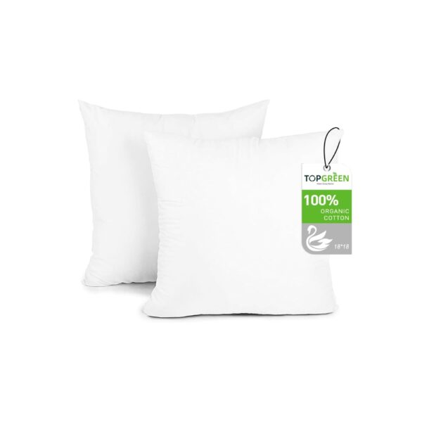 Topgreen Organic Feathers Down Pillow | 1 kg