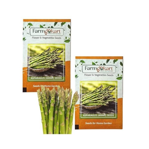 Farmgo Asparagus Seeds | Best Suitable For Terrace And Home Gardening | vegetable and Herbs Seeds Pouch | 40 no's seeds per packet , 2 Packets |