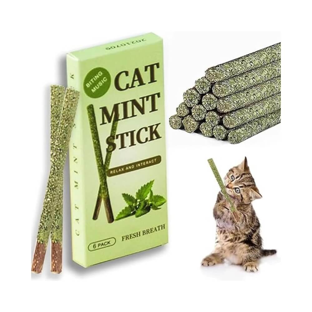 Cature Cat Chew Sticks Cat Catnip Sticks Natural Catnip Toys Cat Teeth Nip for Cat Teeth Cleaning Playful Entertainment for Kittens and Cats Chew Mint Stick Toy | 30 g