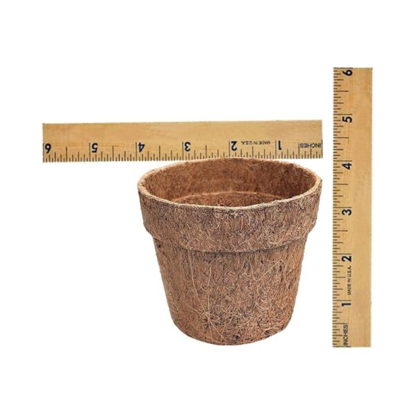 Coco Coir Nursery Pots – Biodegradable Peat Pots for Seed Starter and Seedling Kit - Mini Planter Cups for Indoor, Outdoor – Ideal for Organic Planting - 4 Inch Pack of 12 | 500 g - Image 3