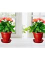 Go Hooked Plastic Gamla/Planter/Pot with Bottom Plate/Tray, 8 inch | Plant Container Set | Indoor/Outdoor Balcony Flower Pot | Drip Trays Planter | Plastic Pots with Saucers | 12 Pcs | 900 g