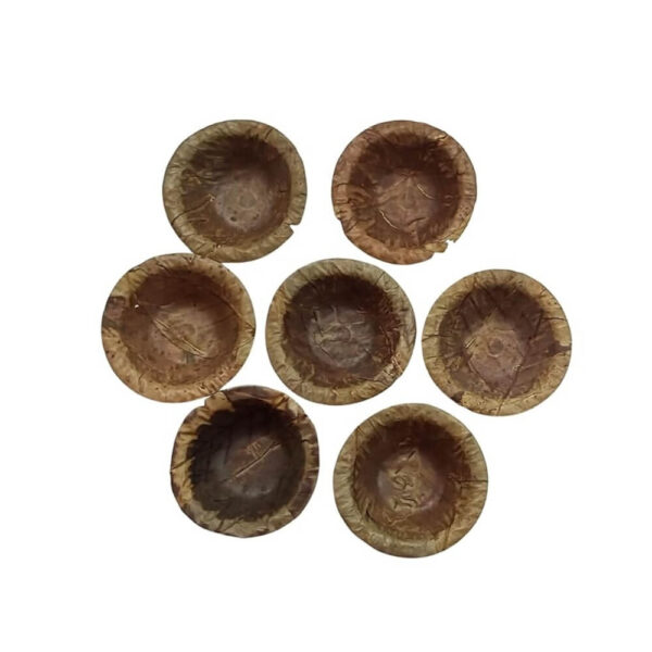 Handmade Natural Organic Eco Friendly Banyan Leaf Cup 100 Pieces Bio - degradable Serving Cups dona-thonnai Cups Easy Disposable Leaves Cup