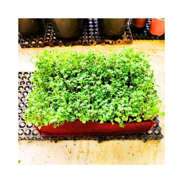 Organic Bazar Microgreens Tray Grow Bags for Home Garden, Premium Geo Fabric 450 GSM Microgreens Planter Pack of 2 , - Image 2