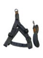 Skora Denim Body Belt (Large 1 Inch), For Dog, Grey | 321g
