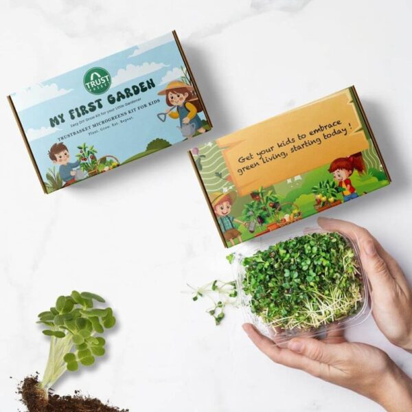 Trustbasket My First Garden Microgreens Kit for kids