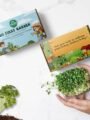 Trustbasket My First Garden Microgreens Kit for kids
