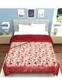 Hashirex Organic Comforter Double Bed | 1 kg