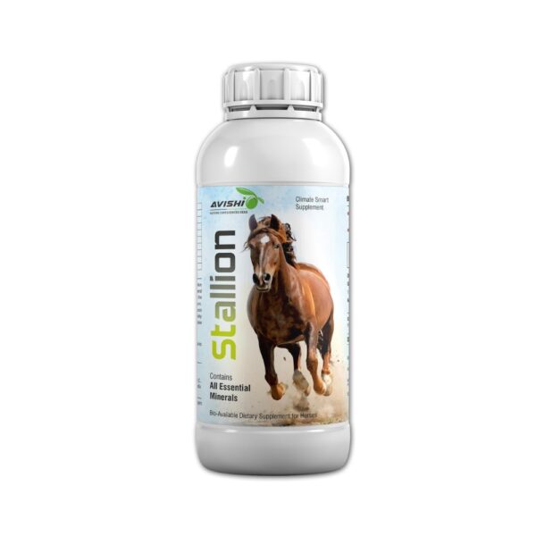 Avishi Stallion Horse Health Supplement | 1 l