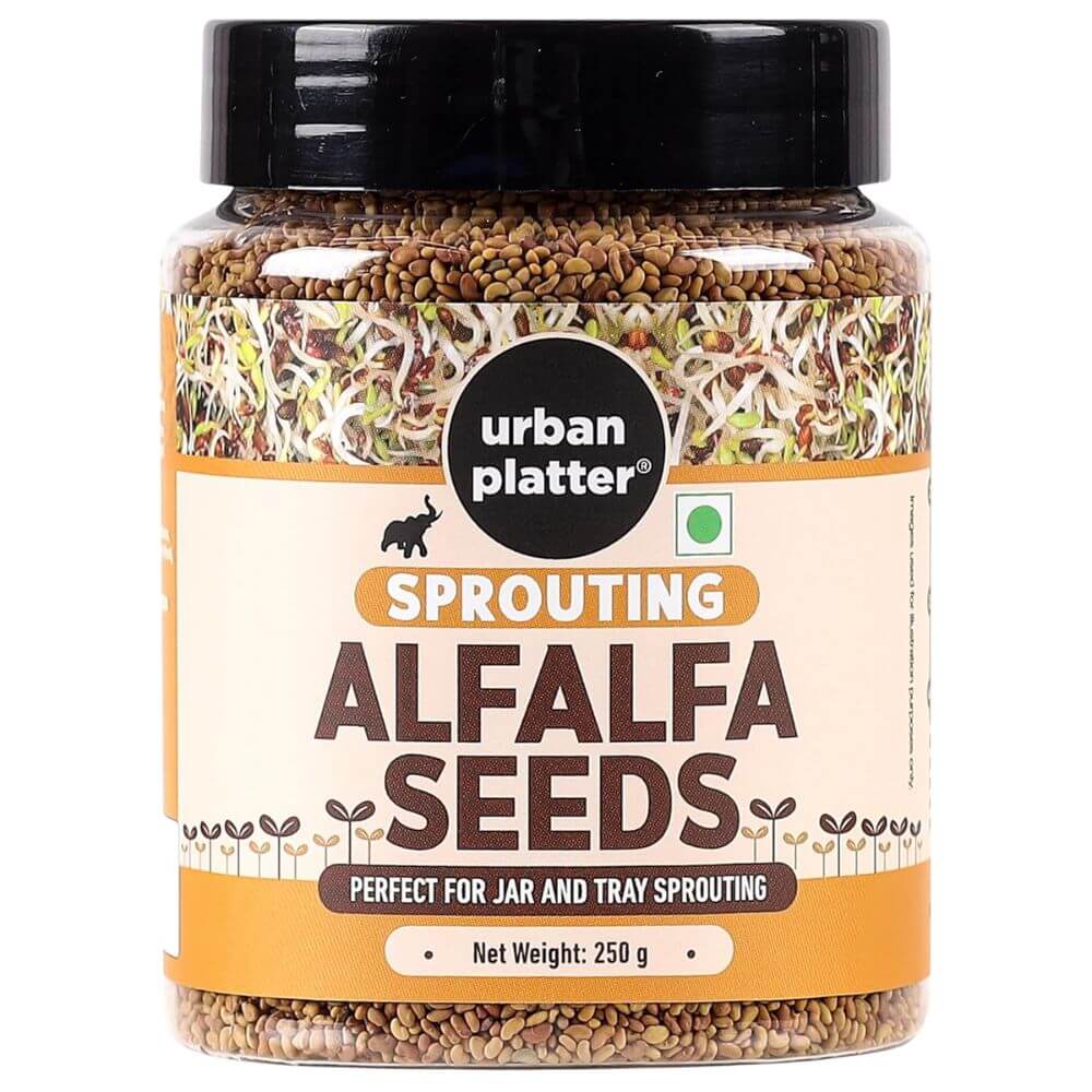 Urban Platter Alfalfa Seeds | 250 g