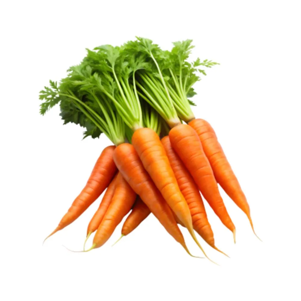 Carrot
