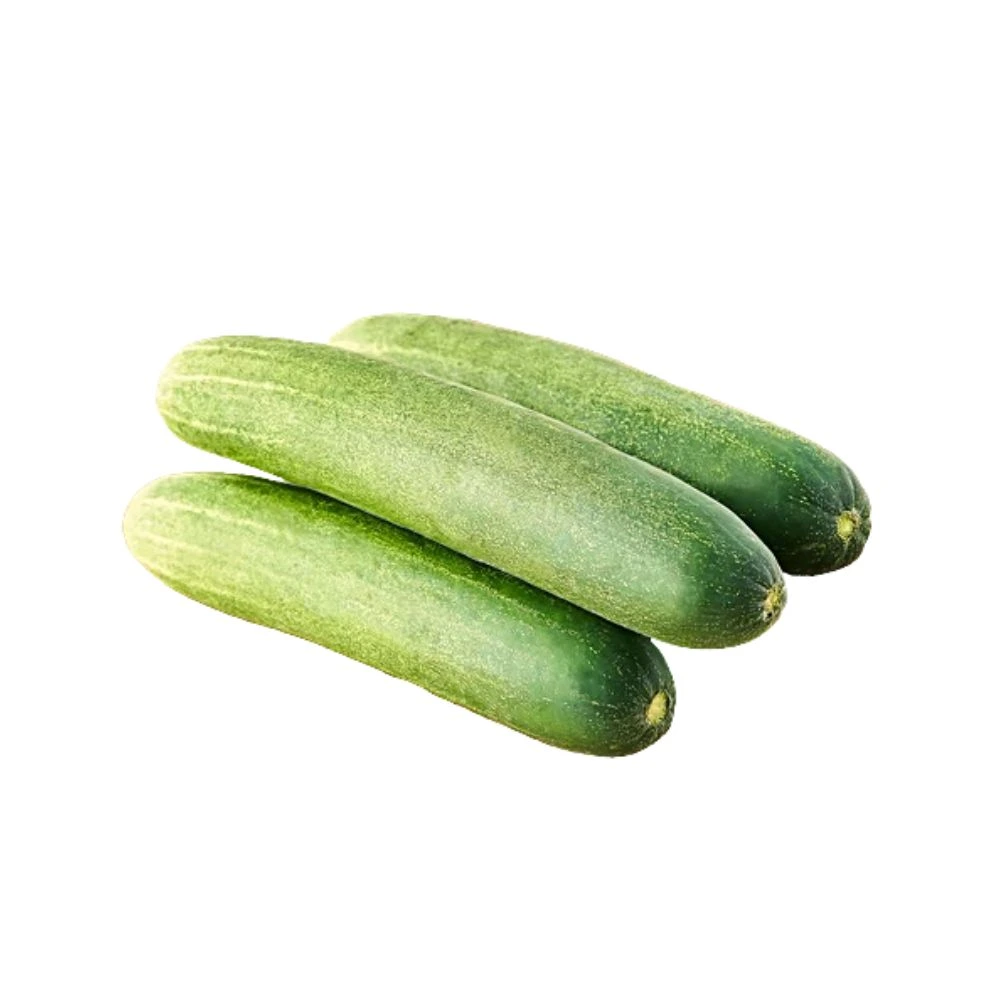 Cucumber