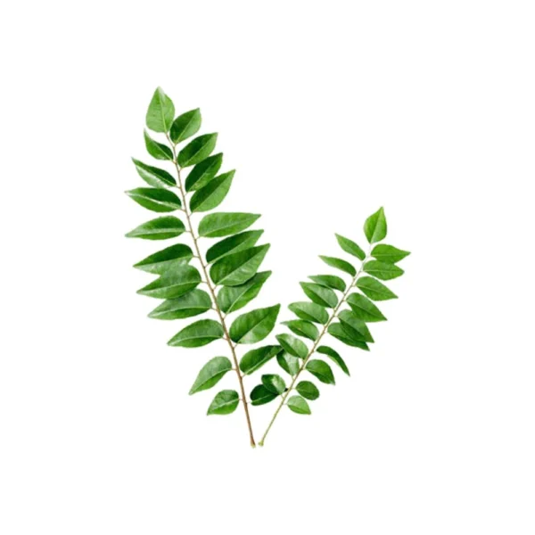 Curry leaves