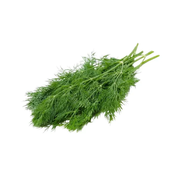 Dill leaves
