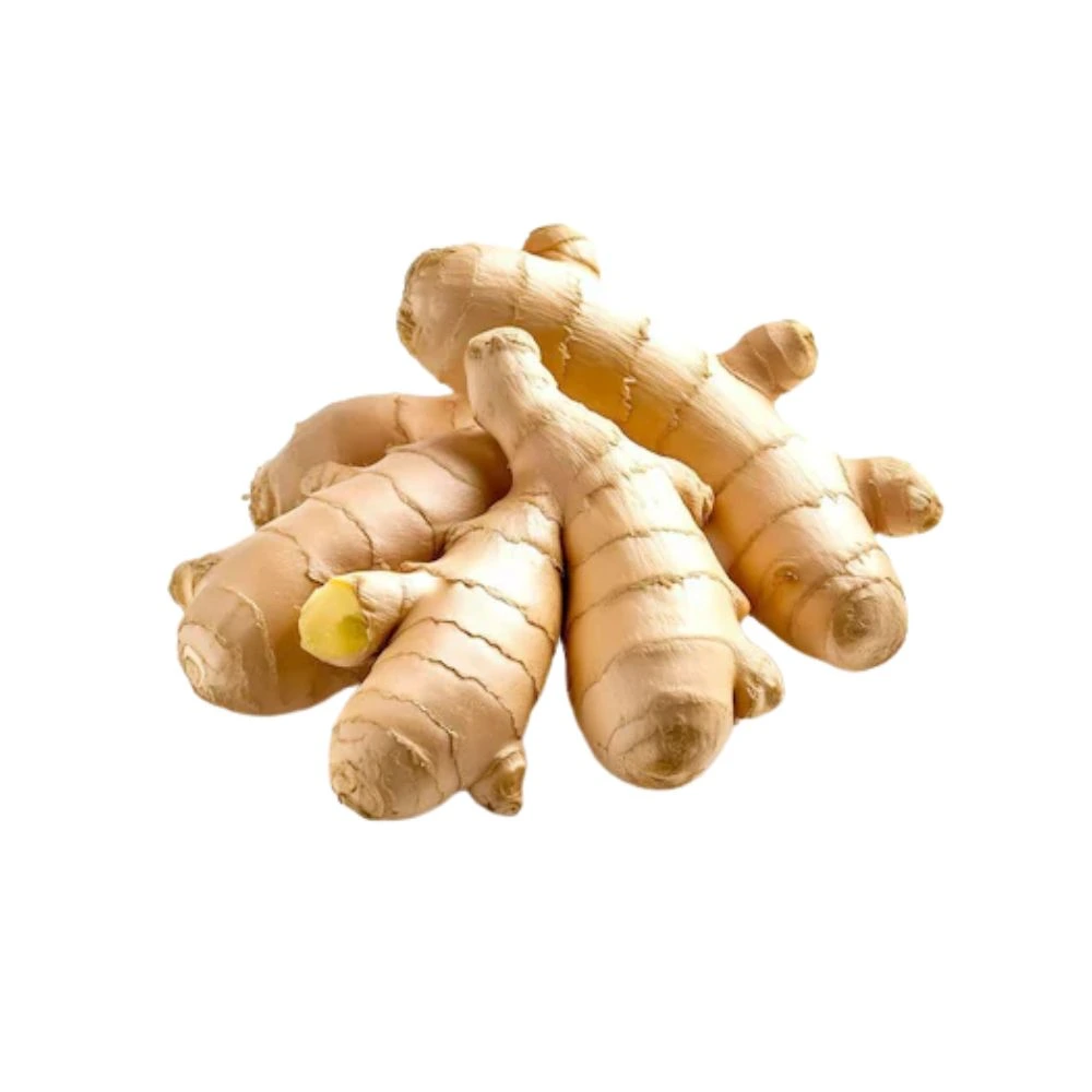 Ginger