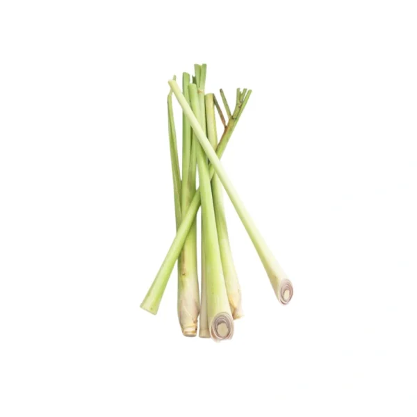 Lemongrass Stalks ( 100 gms to 125 gms bunch )