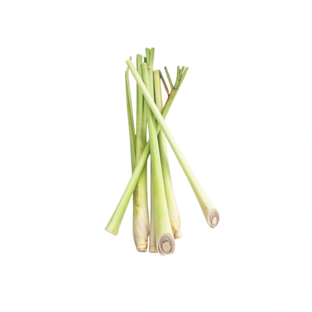 Lemongrass Stalks
