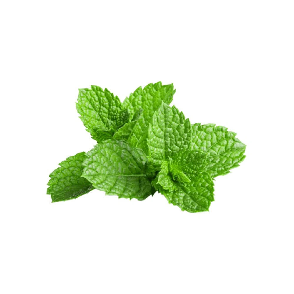 Mint | 1 Bunch