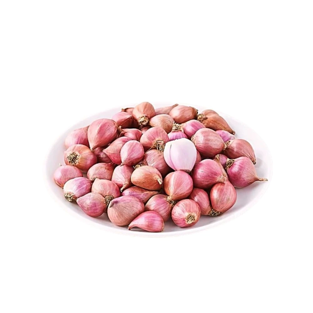 Onion Small