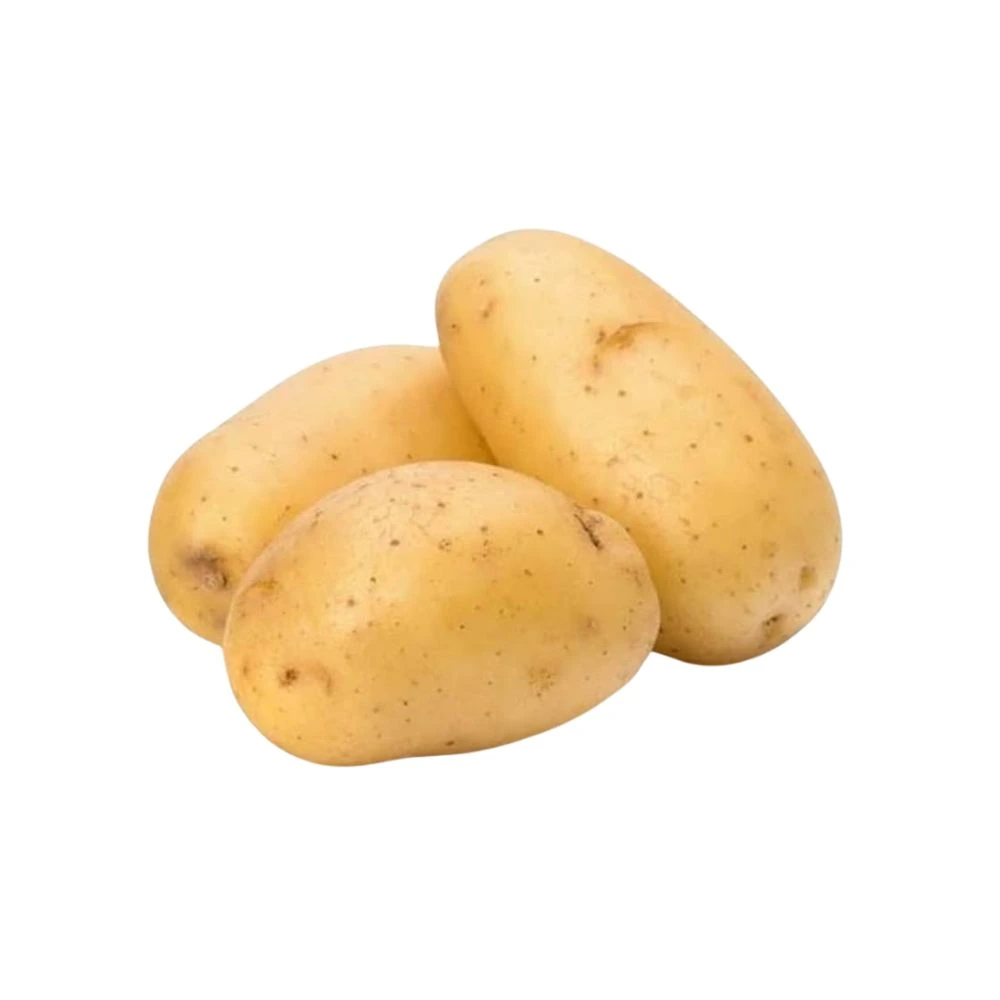 Potato
