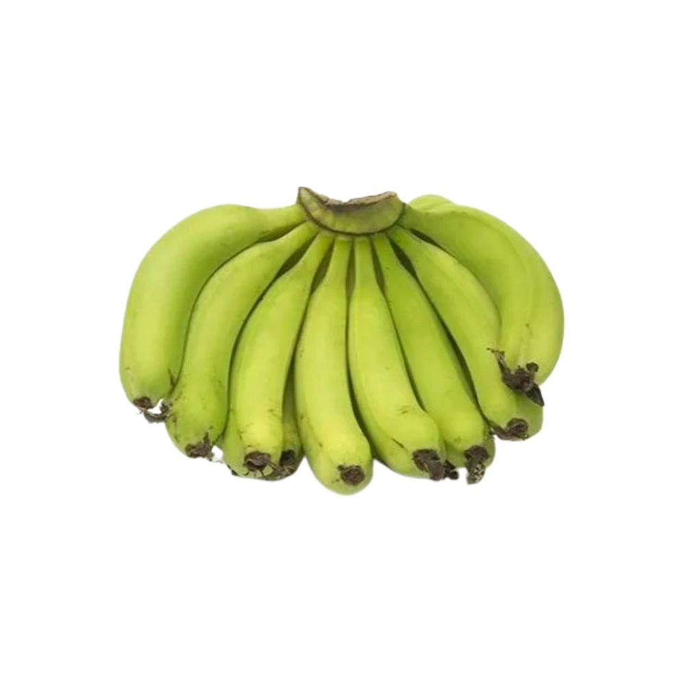 Banana Green Robusta