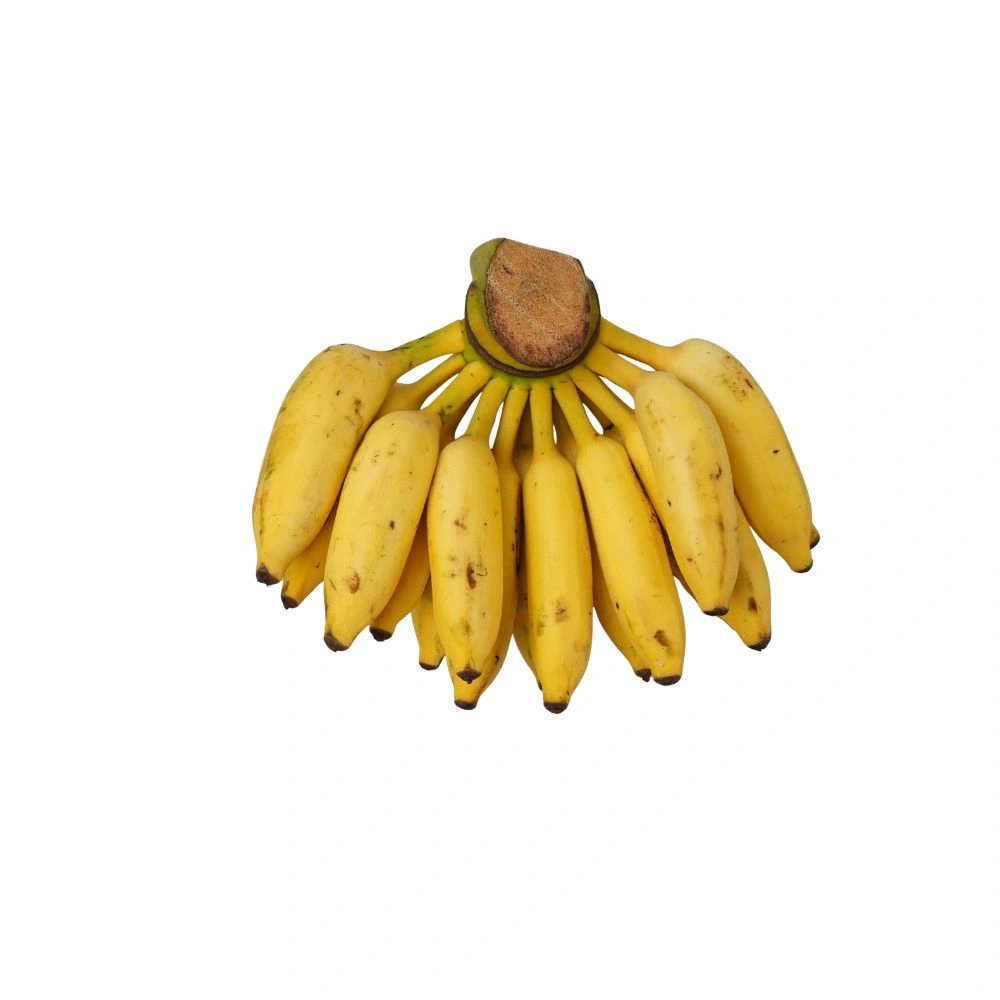 Banana Yelakki