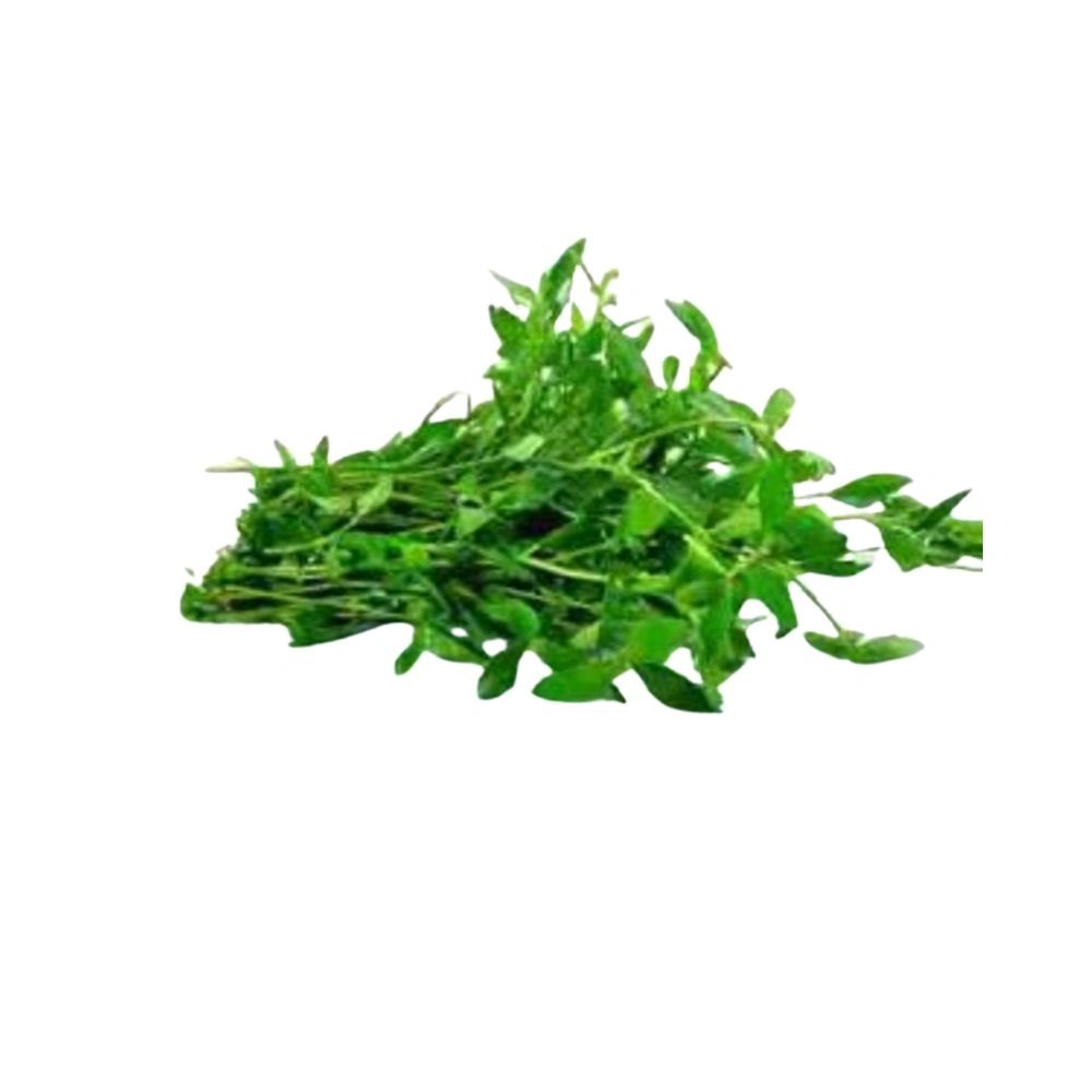 Manathakkali Keerai | 1 Bunch