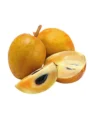 Sapota