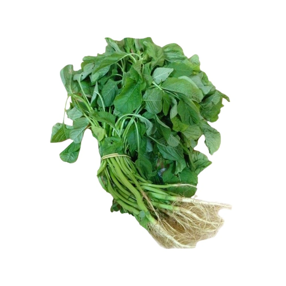 Thandu keerai | 1 Bunch