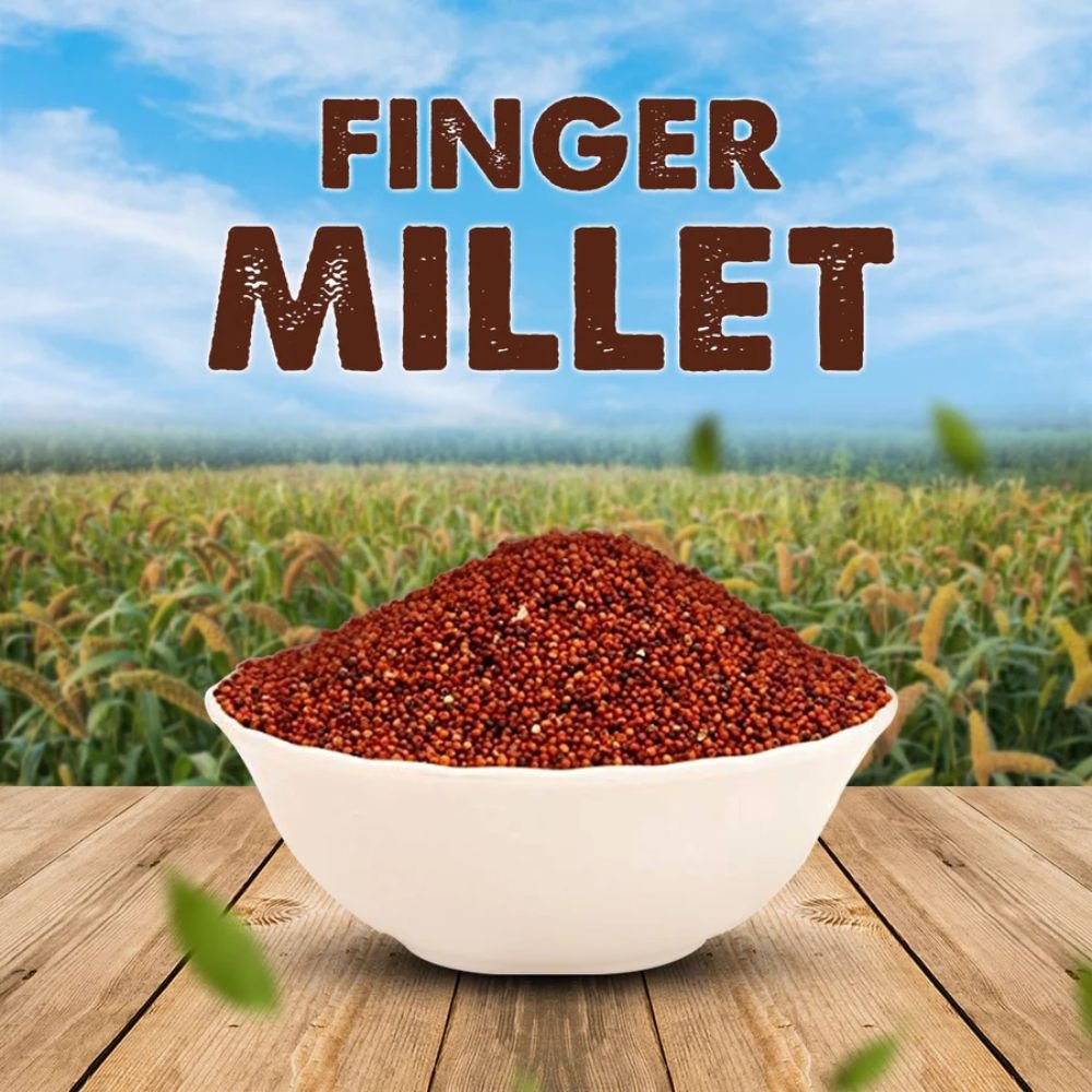 Finger Millet | Ragi 500g
