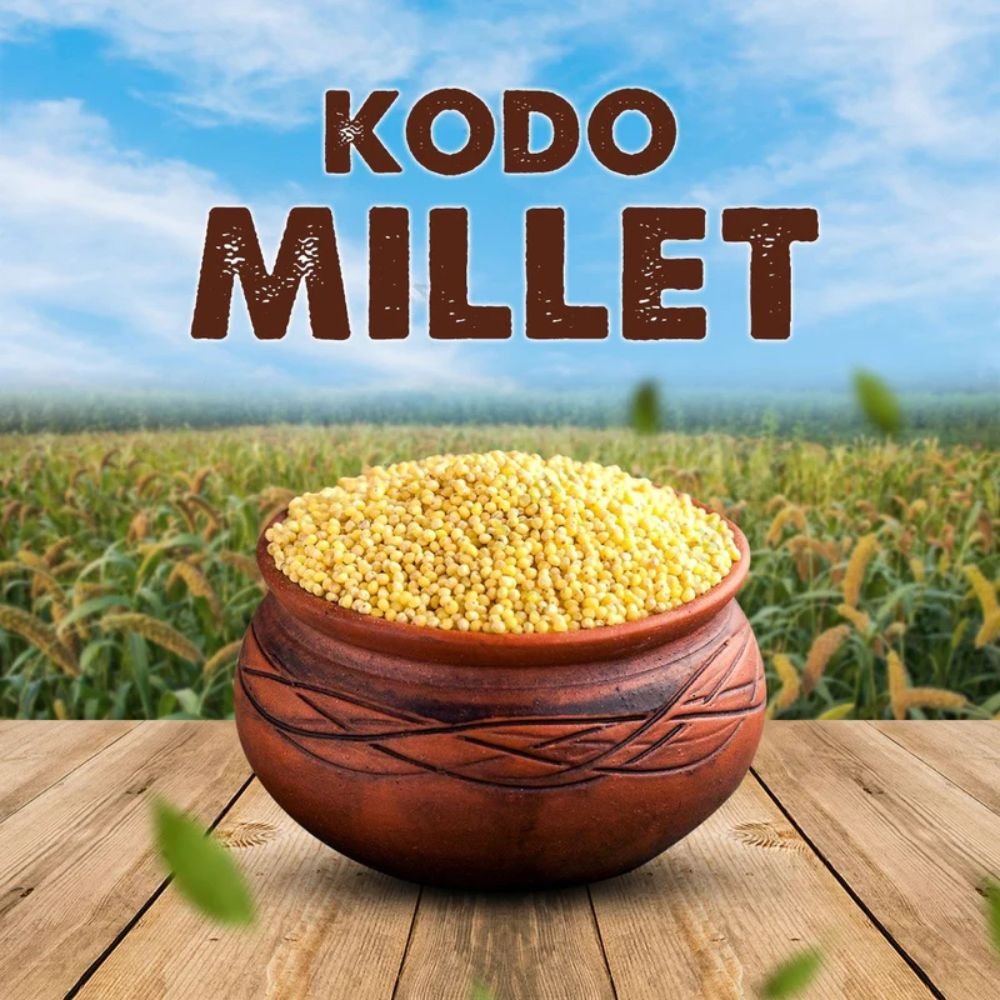 Kodo Millet Raw | Varagu Patchai 500g