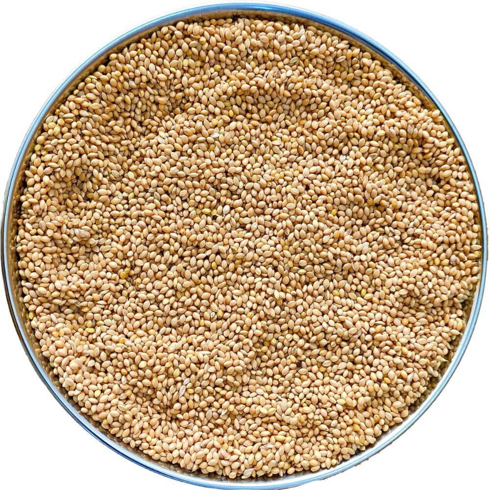 Natural kangni foxtail millet bird feed for pet birds and aviary birds