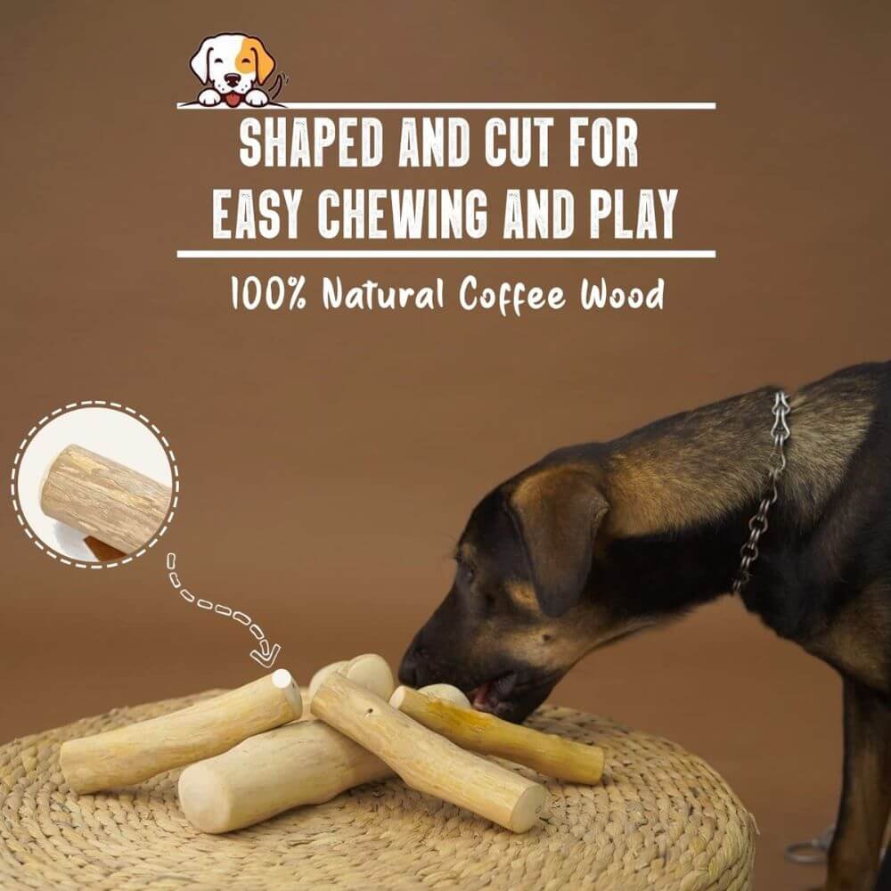 Goofy Tails coffee wood dog chew toy splinter free natural dental stick for dogs