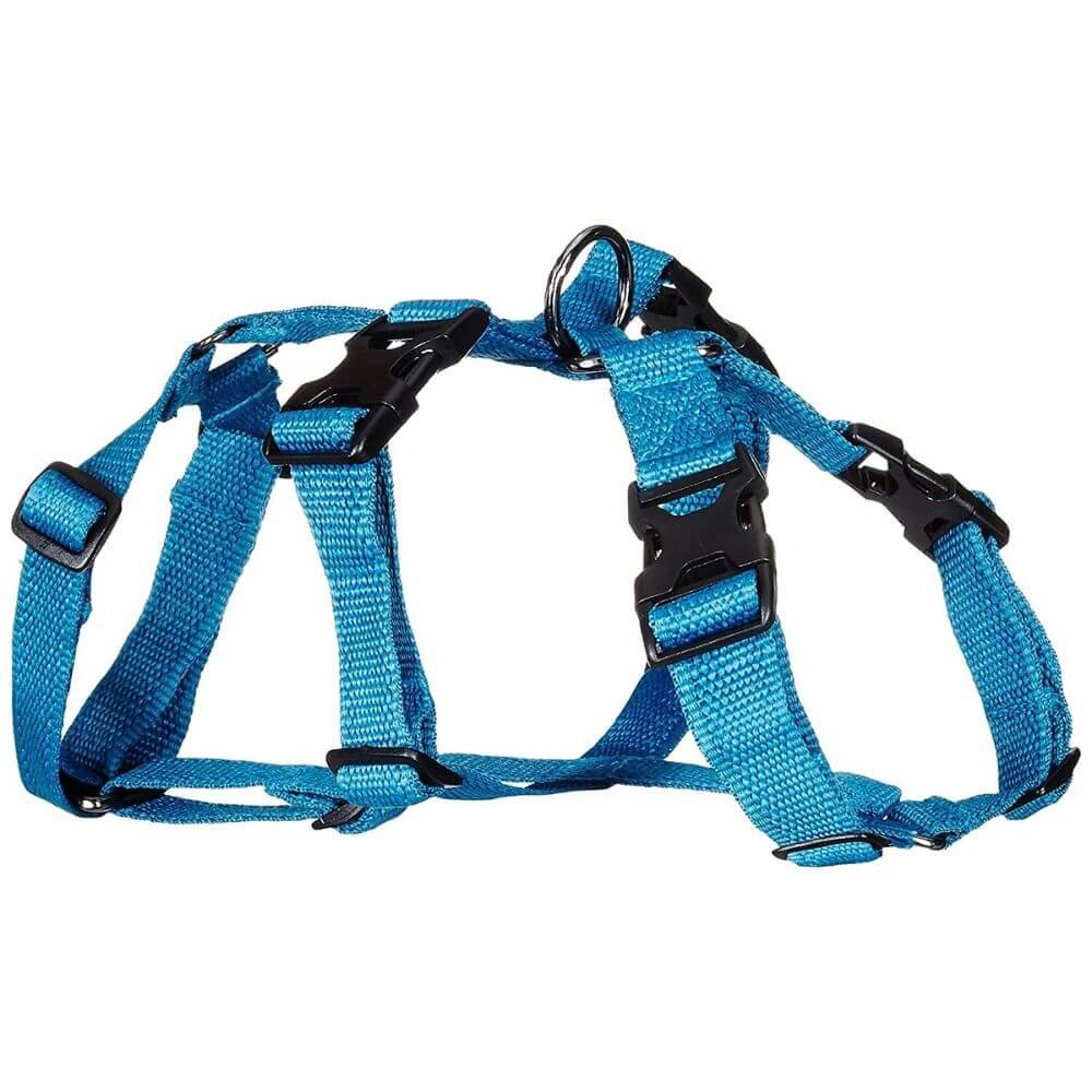 Petslike Double H dog harness sky blue small size for dogs