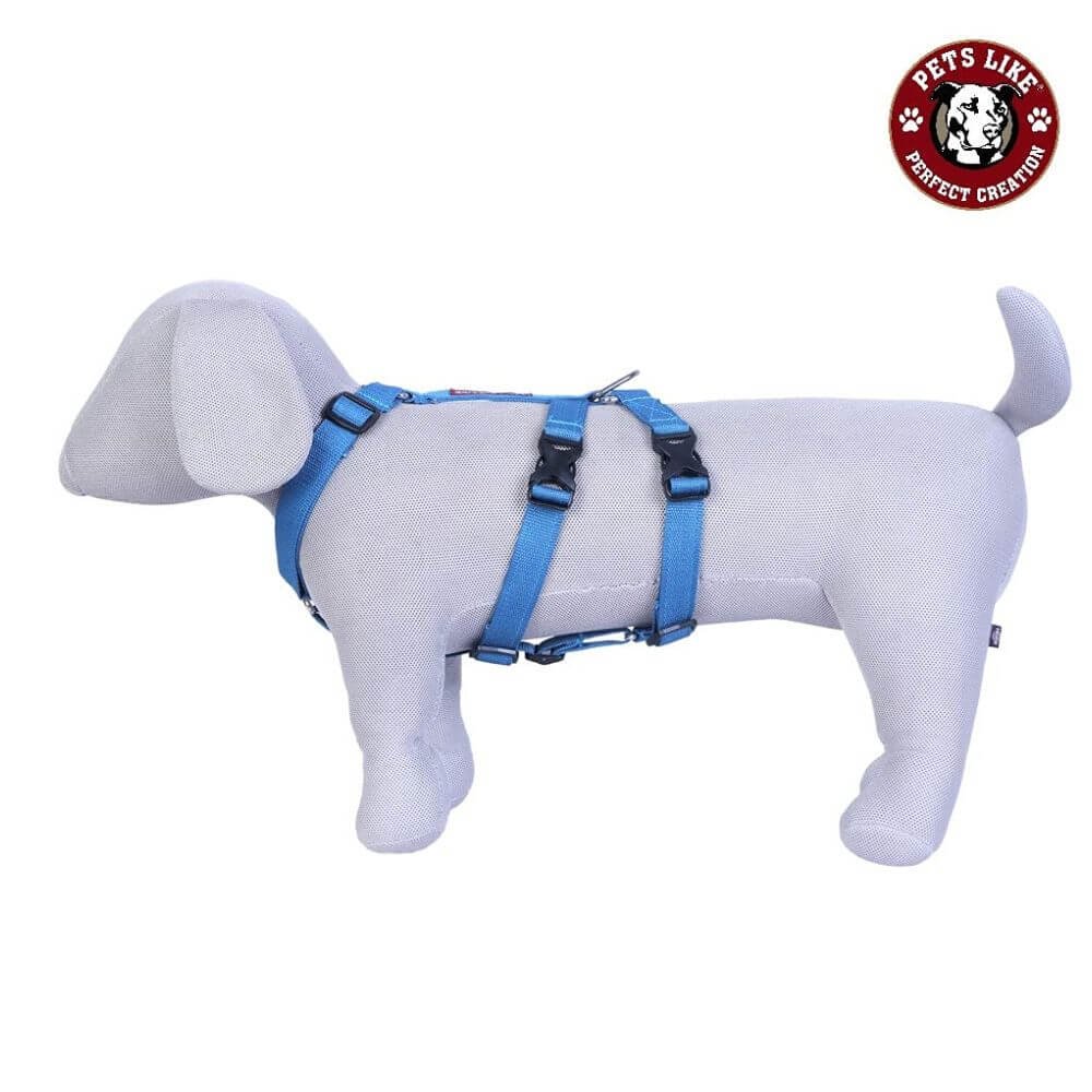 Adjustable sky blue dog harness for small breed dogs
