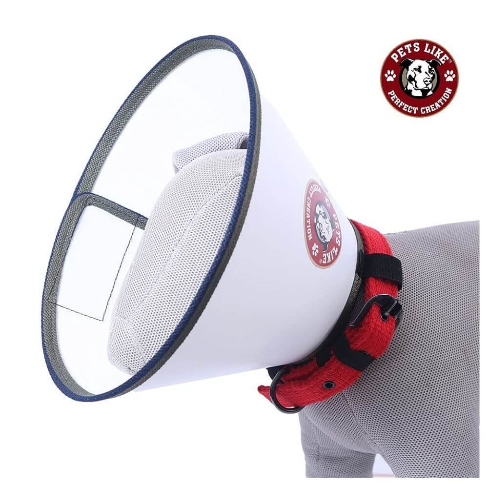 Protective dog cone collar for medium adult dogs recovery care