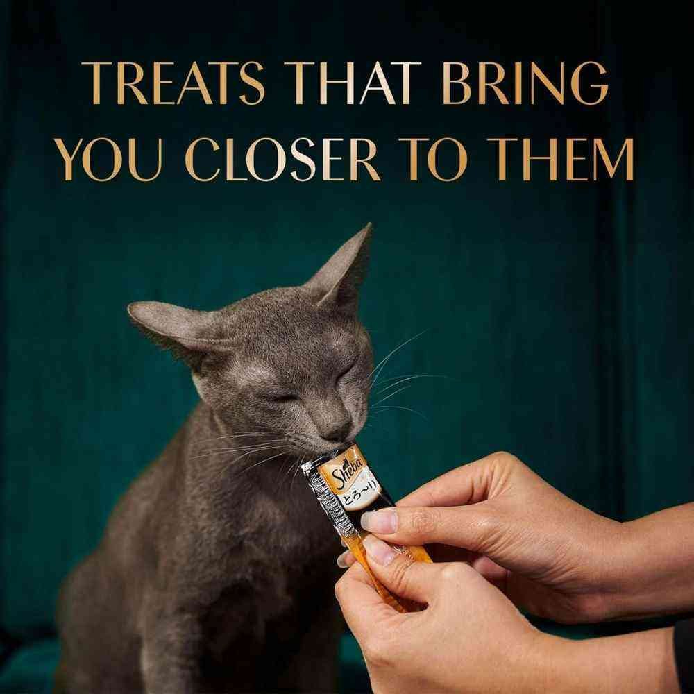 Lickable creamy cat treats with tuna and prawn flavours