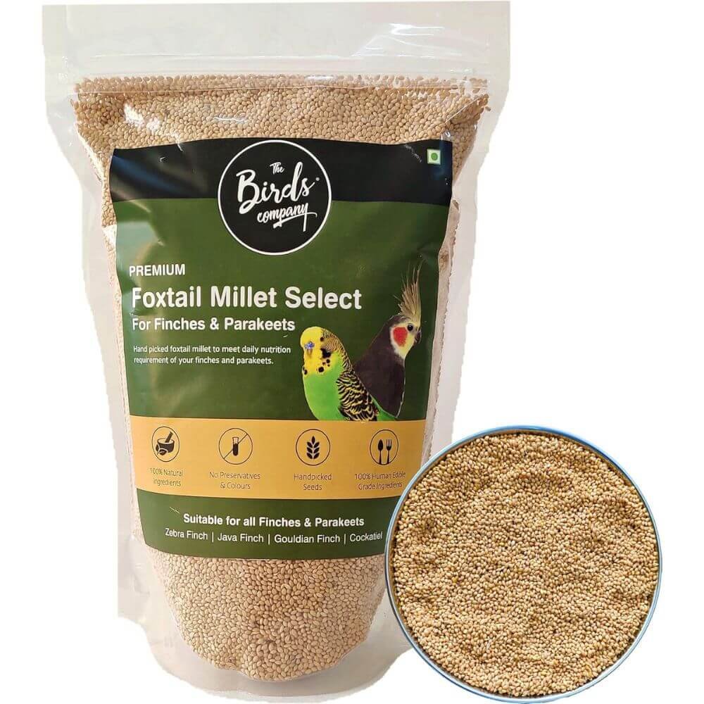 Foxtail Millet Bird Food for Canaries Finches Parrots 450gm