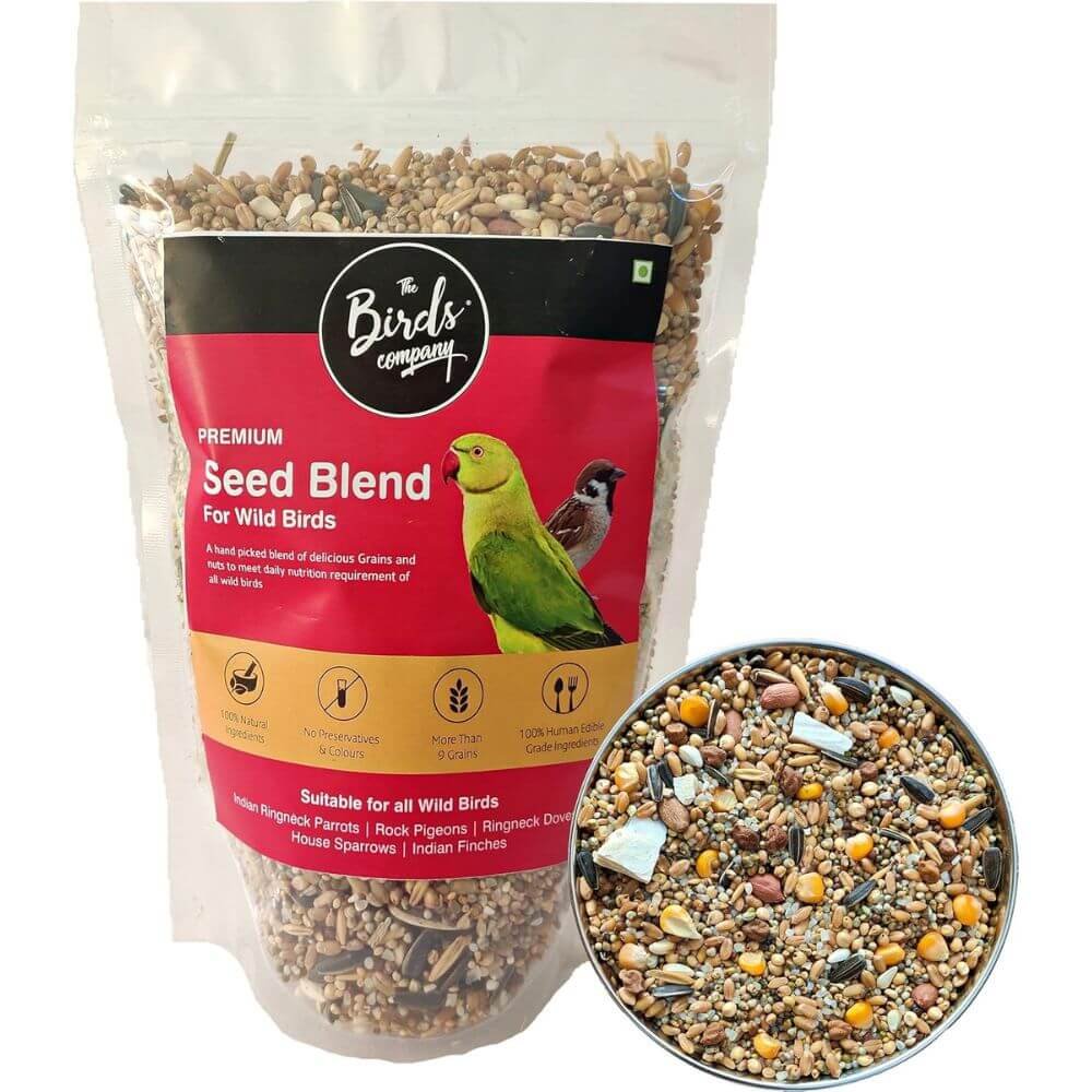 The Birds Company Premium 9 Grain & Nut Bird Feed Mix 450gm for Birds