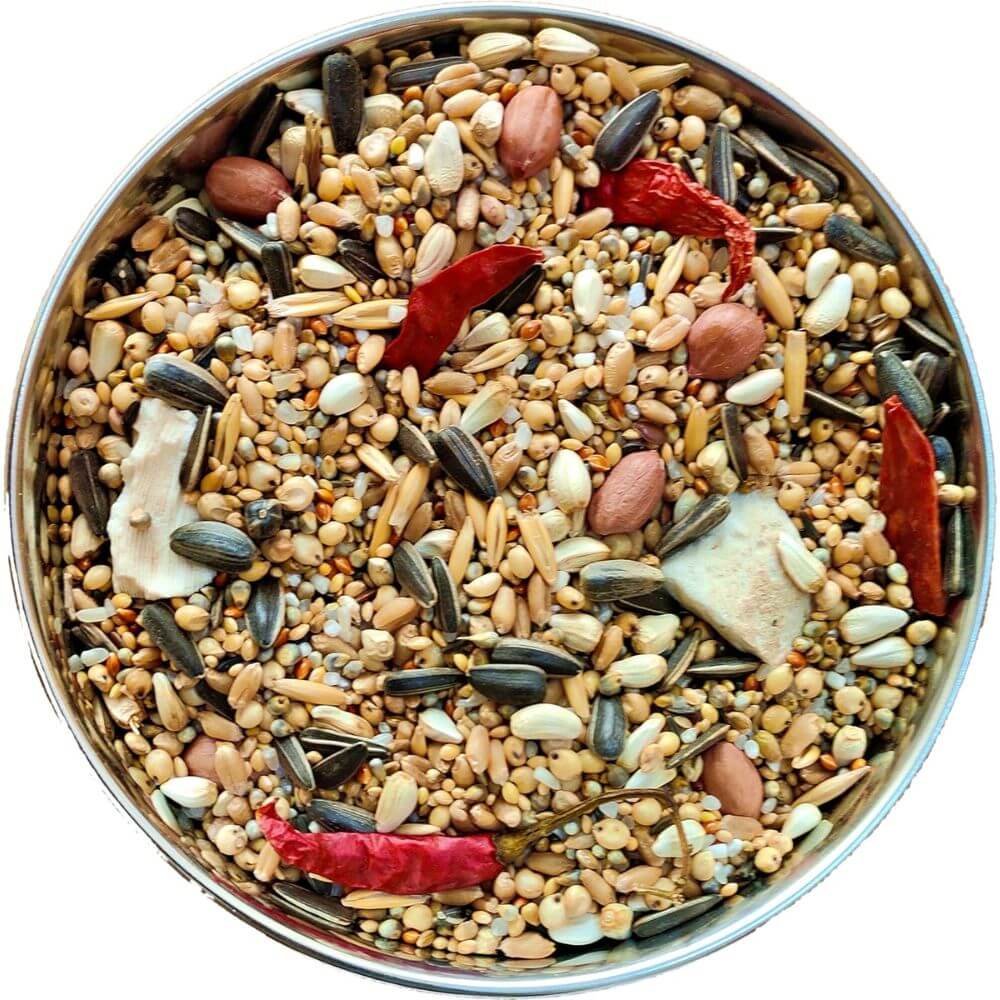 Natural bird feeder refill food with mixed grains and nuts for backyard birds and parrots
