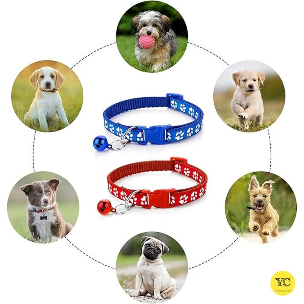 Adjustable light blue pet collar leash set for cats puppies and small dogs